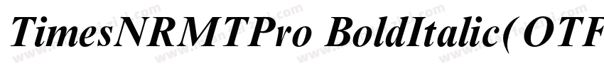 TimesNRMTPro BoldItalic(OTF)字体转换